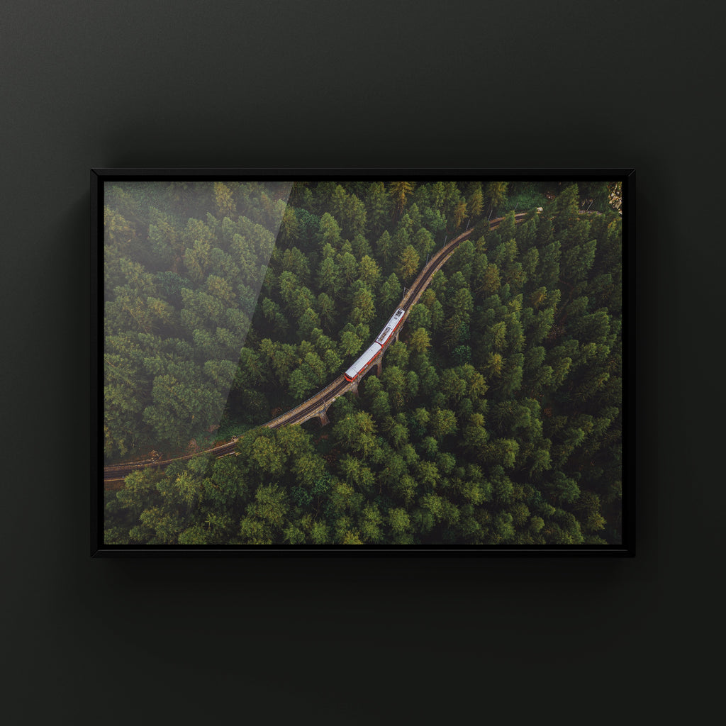 The little red train (лето)